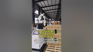 Cooperative palletizing robot,suitable for palletizing boxes, and workers learn in five minutes