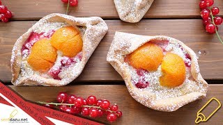 Aprikosen Johannisbeeren Gebäck I Einfach Und Schnell Gemacht