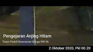 Download lagu Pengejaran Anjing Siluman di Tanah Baru Beji Depok
