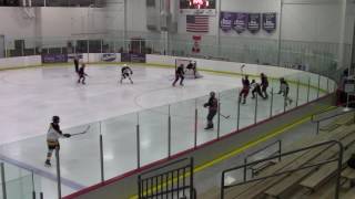 Wings Bantam B vs Waunakee #8 20161104