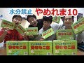 【水分禁止】大量のきなこ棒でやめれま１０やったら素直にお喋り出来ないｗｗｗ