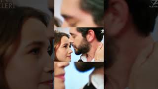 Dilbar Kan Çiçekleri