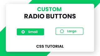 Custom Radio Buttons CSS | Pure CSS Tutorial screenshot 5