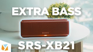 srs xb21 review