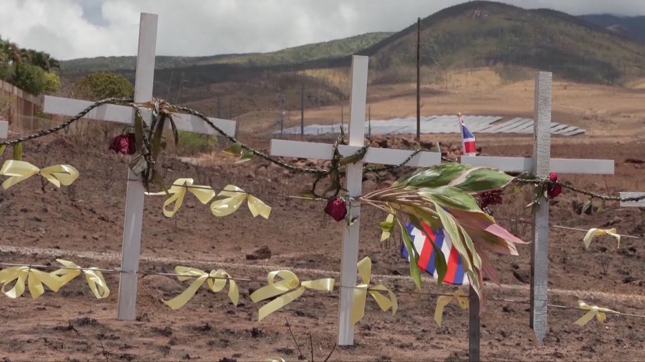 'I don't understand the decision' – Hawaii residents accuse government after wildfire