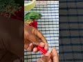 Reuse Ideas |Simple Hacks