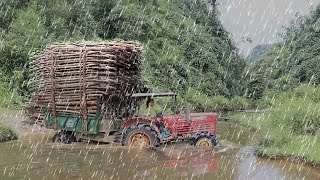 Transporting Wood Stormy Days - Build Wooden House In Forest | Restore Farm