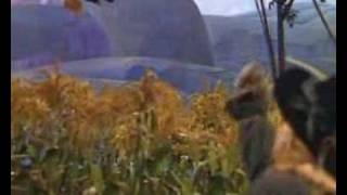 Wizard Of Oz - Scarecrow Dance (Deleted Scene)