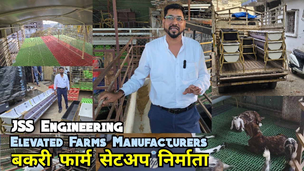 JSS Engineering | Elevated Farm Setup Water & Feeder For Goat & Sheep Framing Bandlaguda | Hyderabad