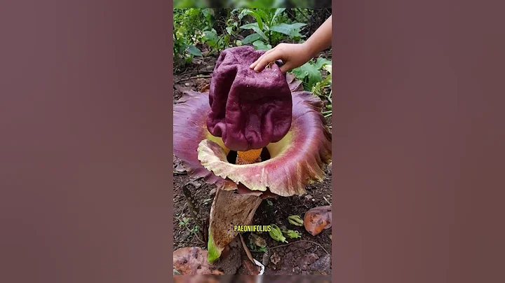 Rare Photos That Broke The Internet! 🤯  | 45