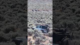 When Real Life Feels Like A Fantasy