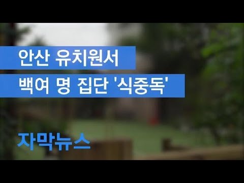 [자막뉴스] 안산 유치원서 백여 명 집단 식중독…‘햄버거병’ 투석 치료도 / KBS뉴스(News)
