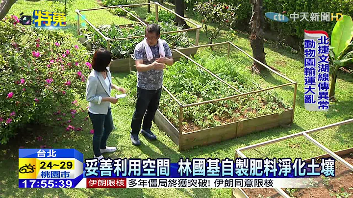 20150403中天新聞　林國基百坪秘密菜園　種20種有機菜 - 天天要聞