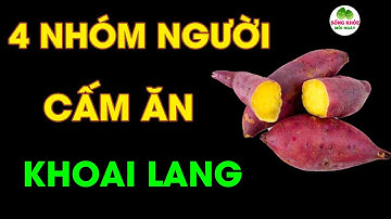 Bác Sĩ Cảnh Báo: 4 Nhóm Người Tuyệt Đối Cấm Ăn Khoai Lang