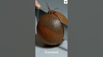 Awesome Coconut Cutting ASMR