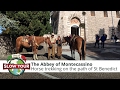 BBC News Hidden ruins of Monte Cassino monastery bombed in ...