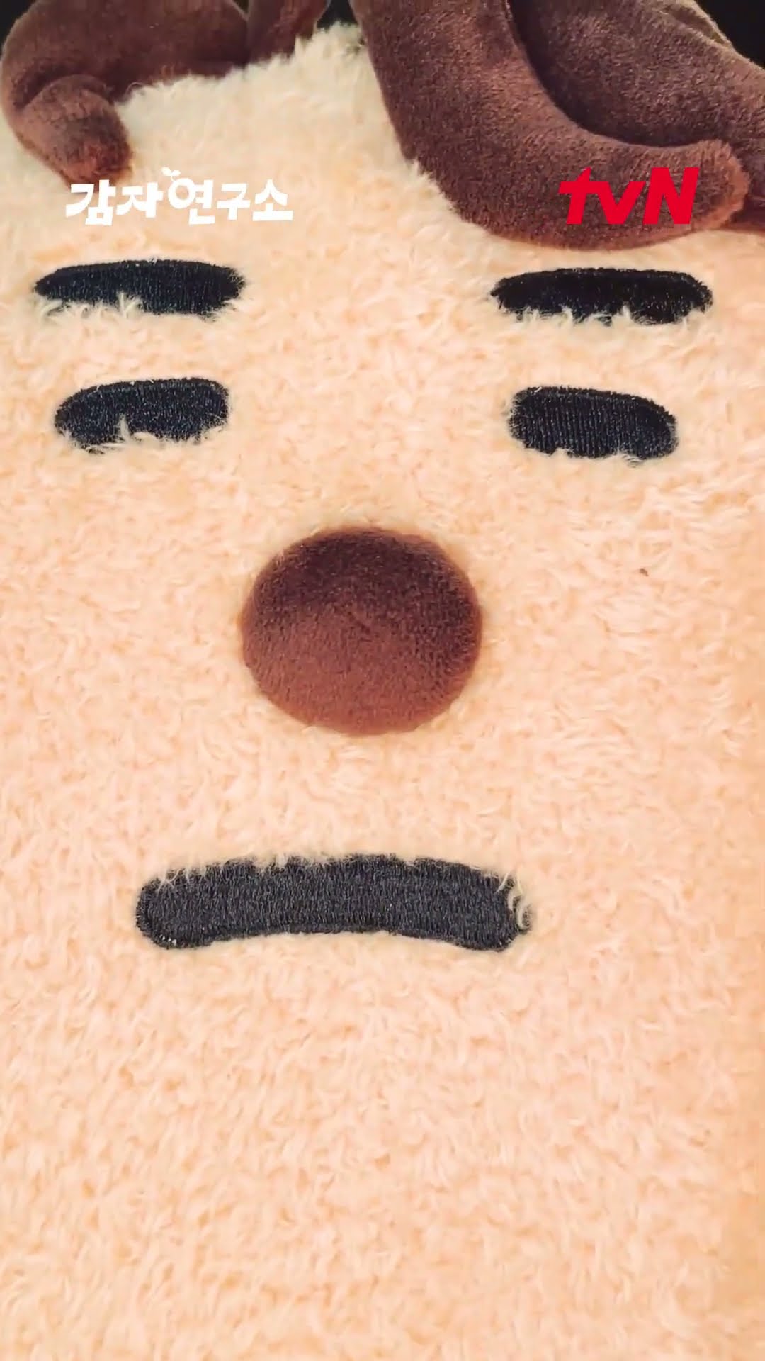 강태오는 강아지 강 씨라는 소문이 있어? #감자연구소