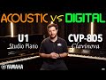 Yamaha U1 Studio Piano VS CVP-805 Clavinova | Acoustic VS Digital