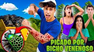 Revistei O Lixo E Fui Picado Por Um Bicho Venenoso Fui Pro Hospital?