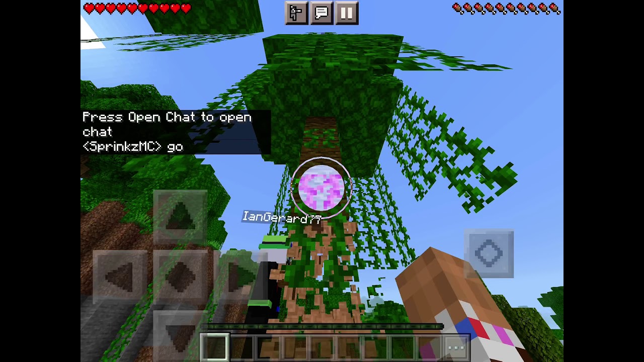 [WR] MCBE Nether% Co-op SSG in 