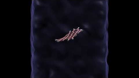 The abnormal behaviour of graphene nanoparticle in shear flow