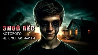 видео: ЧУМОВКА | ЗЛОЙ ПЁС | Страшная История На Ночь картинка: ЧУМОВКА | ЗЛОЙ ПЁС | Страшная История На Ночь