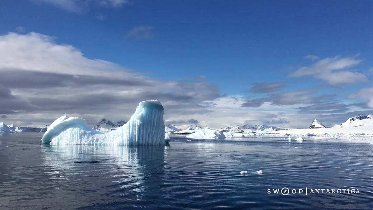 Cuverville Island Antarctica YouTube