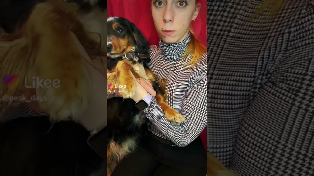 ПОЦЕЛУЙ СВОЮ СОБАКУ | ЧЕЛЛЕНЖ | не прошли 😂