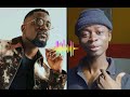 Akokoa remix ft Sarkodie (official audio)