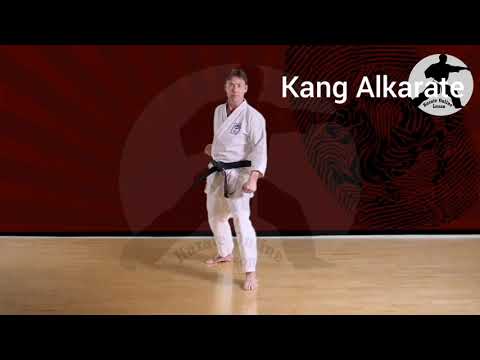 تعلم الكاتا الاولى للحزام الاصفر هيان شودان