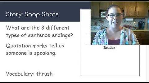 Skills Unit 1 Lesson 29 (grade 1)