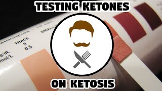 Keto Guide  Testing Ketones. (AT HOME)