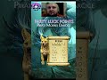 LEVEL UP na úroveň 13 - ŇUFKO (Alstapos), blink dog