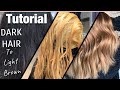 TUTORIAL | Dark Hair To LIGHT Brown | FULL Application + Formulation