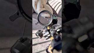 Vortex Optics Strike Eagle First Focal Plane Is it a good choice?#foryou #opticready #airsoft