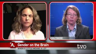 Gender and the Brain