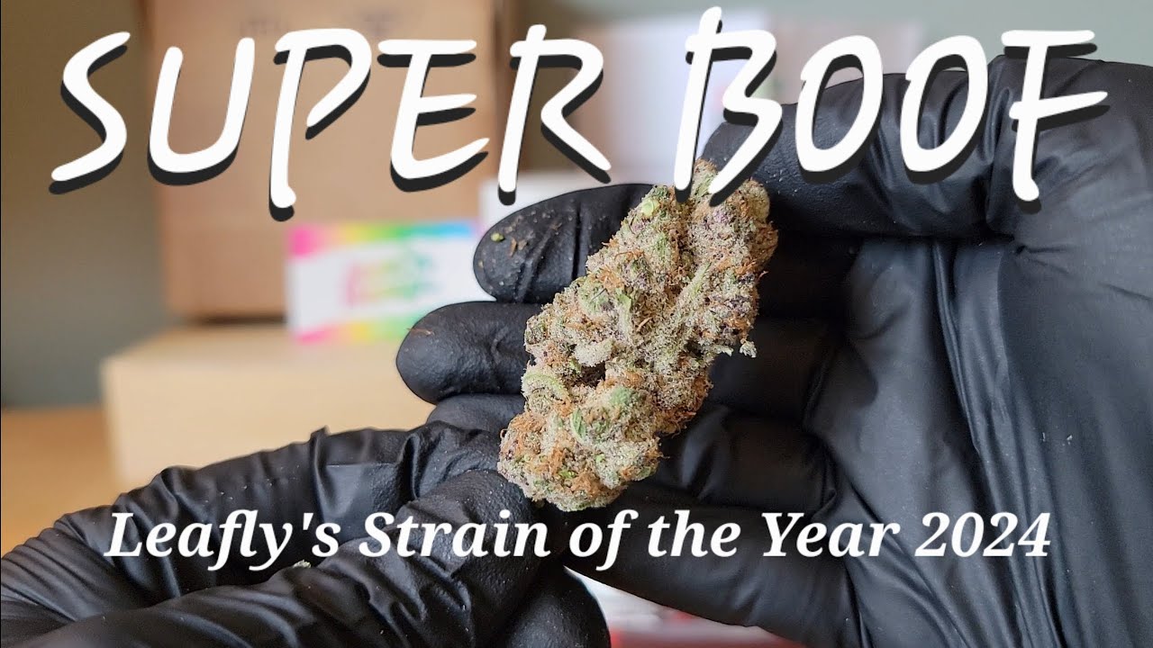 Super Boof - Samples sent from Jam'n Hemp Co. - Eco-friendly & family owned  - THCa Flower Review