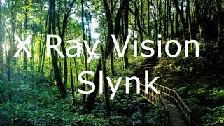 X Ray Vision   Slynk