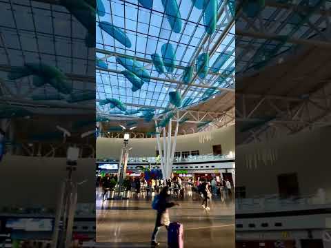 Video: Guida all'aeroporto internazionale di Indianapolis