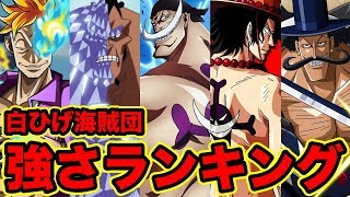 ワンピース 最新版 白ひげ海賊団傘下メンバー強さランキングtop 10 最強キャラ発表 18 One Piece Strongest White Beard Pirates Youtube