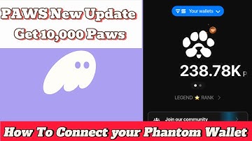 Paws How To Connect your Phantom Wallet