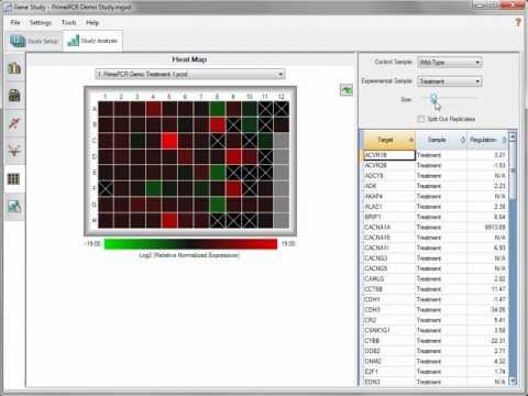 PrimePCR™ Assays: Evaluate a Run File Using the CFX Manager Software