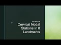 Cervical Lymph Node Stations - a landmark approach