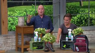 Greenerways 3-piece Organic Citronella Insect Repellent on QVC