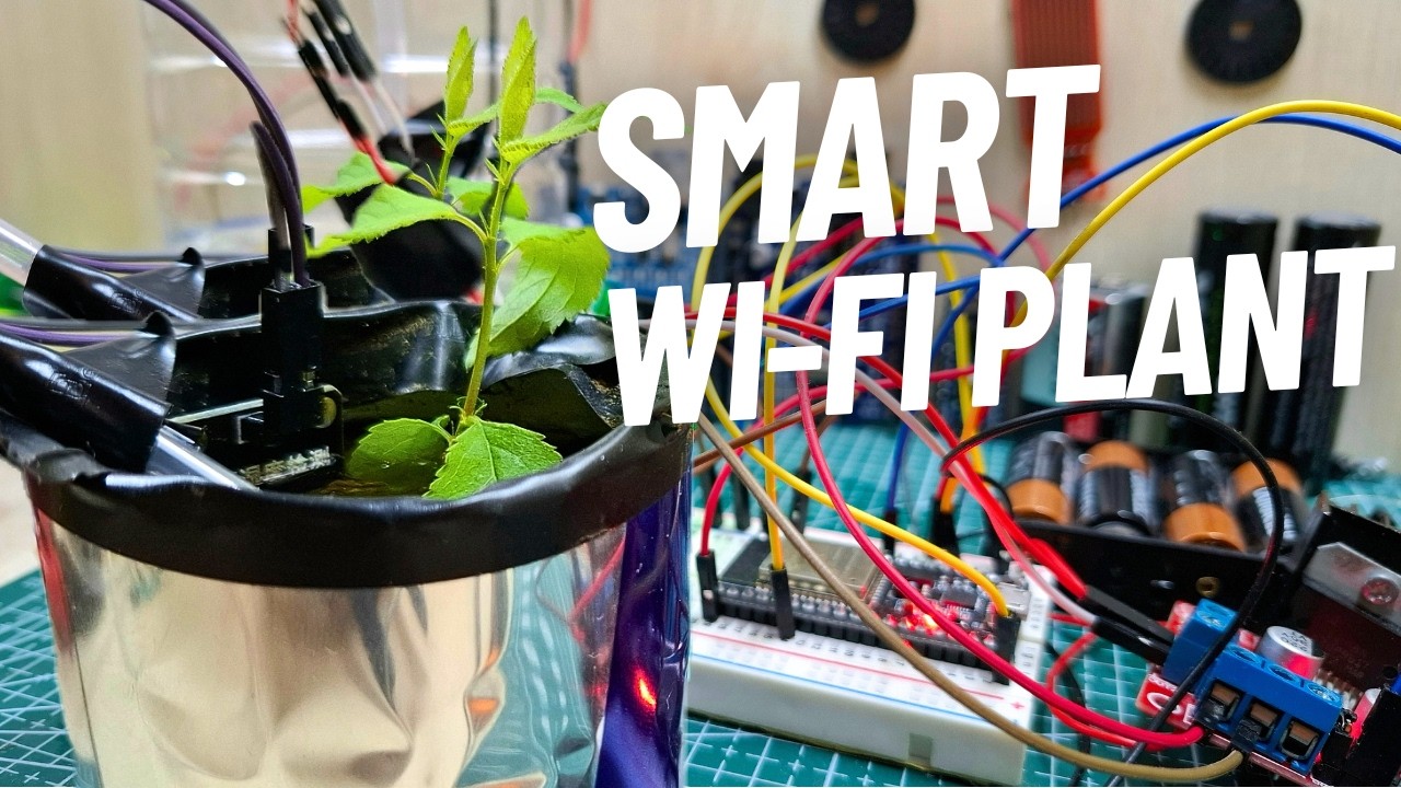 Self Grown Plant?? ESP32 Watering System #1