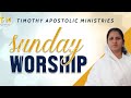 SUNDAY WORSHIP TIMOTHY APOSTOLIC MINISTRIES 11 01 2026