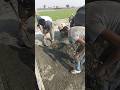 Concrete Slab Pouring – Real Life Construction#RealBuild #ConcreteWork #CivilDIY #Shorts