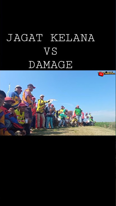 (JUNIOR || ROUND 1) LOMBA MERPATI BALAP SPRINT INDONESIA || JAGAT KELANA VS DAMAGE