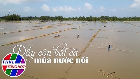ĐẨY CÔN BẮT CÁ MÙA NƯỚC NỔI