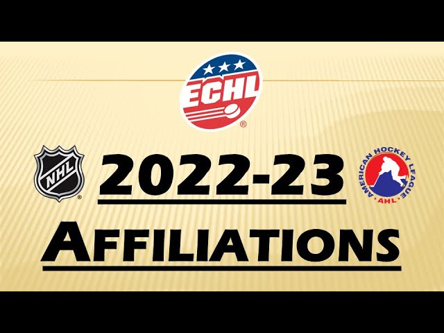 FYI: NHL team affiliations with AHL and ECHL teams